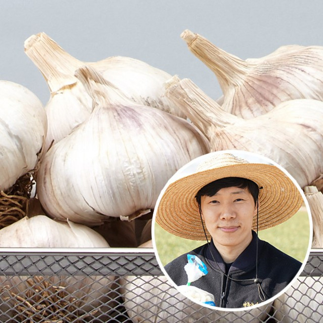 [산지직송] 황토 무안 햇 통마늘(남도) 대, 1개