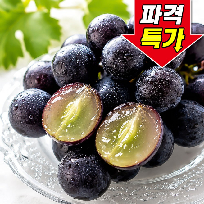 [꿀팜즈] 초고당도 씨없는 포도 거봉, 1박스, 2kg