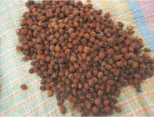 홍천 국내산 산사, 1개, 1kg