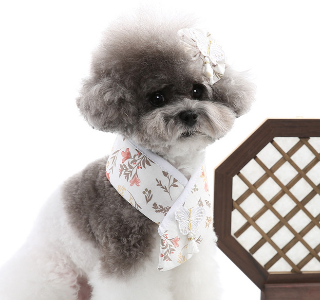 강아지 고양이용 설날 설빔 추석 한복 목도리 스카프 단아 한복 케이프, 1개, 백색