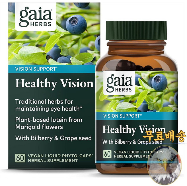 미국산 가이아허브스 헬시 비전 60베지캡슐 루테인 빌베리 포도씨 아스타잔틴 Gaia Herbs Healthy Vision 선물증정, 60정, 1개