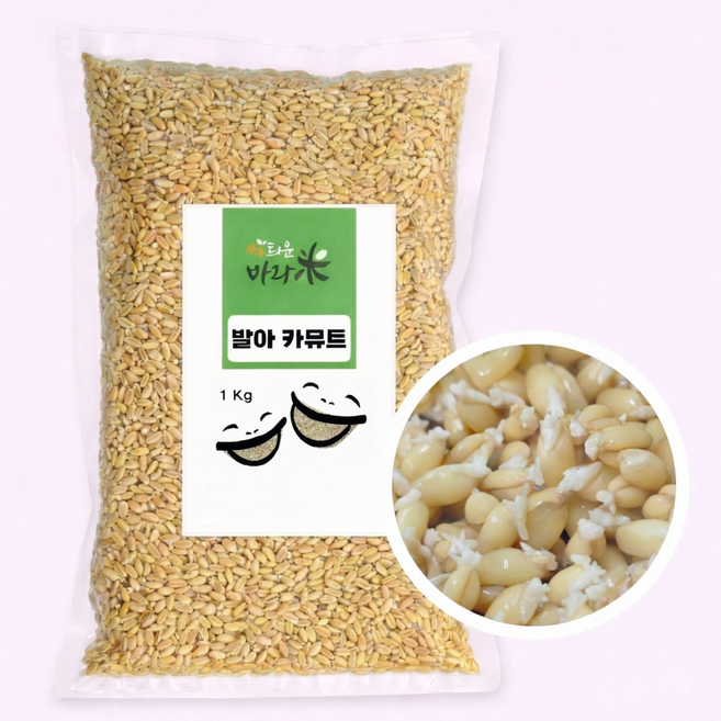 불림제로 영양폭발 발아카무트 진공포장 씻지않는 쌀, 2개, 1kg