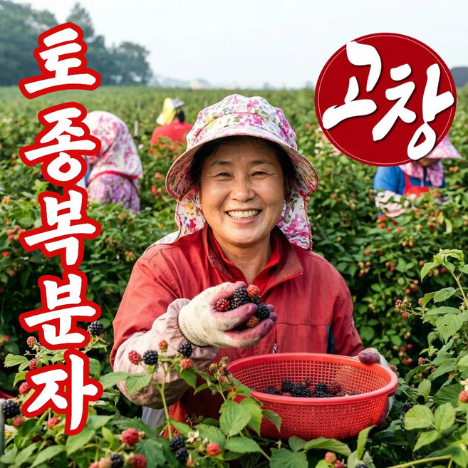 더맛곳간 국내산 고창 복분자 열매 냉동 토종복분자 농가직송, 1개, 1kg 특품