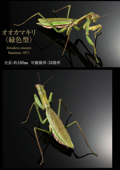 사마귀 피규어 생물대도감 잎사귀 곤충 모형 장식 소품 컬렉션, 그린 사마귀, 1개