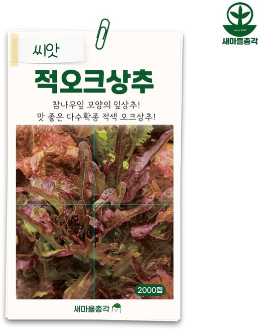 다농 적오크상추씨앗 2000립 상추 종자 씨, 1개