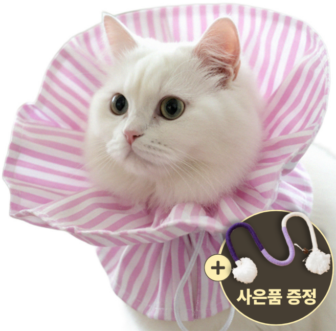 [speedmong] 목편한 초경량 시야 확보 반려동물 편안한 넥카라 고양이 강아지 깔대기 중성화, 베이비핑크, 1세트