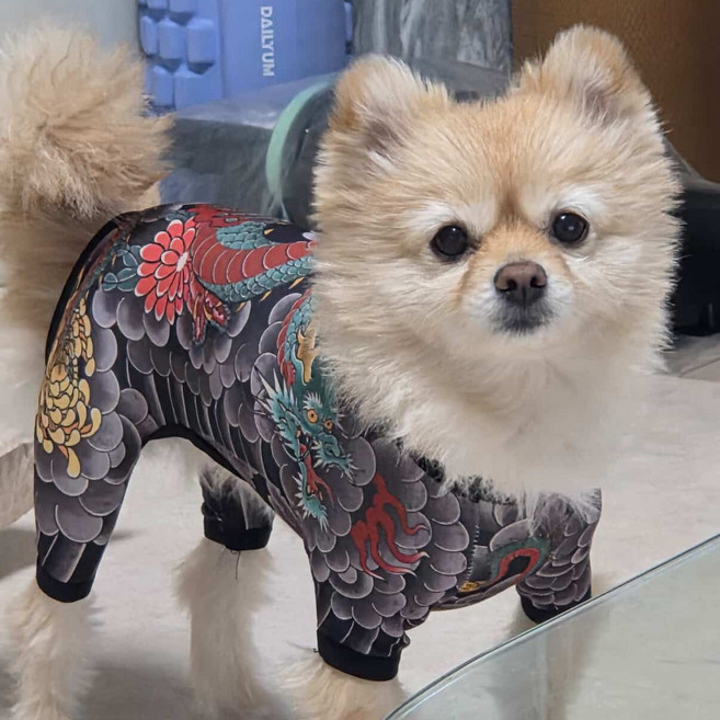 이음플래닛 이레즈미 전신타투 문신 강아지옷 개레즈미 깡패 갱스터 야쿠자 재밌는 반려동물 웃긴 옷 코스프레 올인원 코스튬 의상, 1개, 사이즈