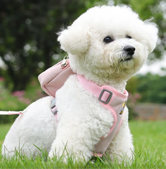 플라이업 강아지 하네스 가방 리드줄 세트 탈부착 유치원 가방, 핑크, 1세트