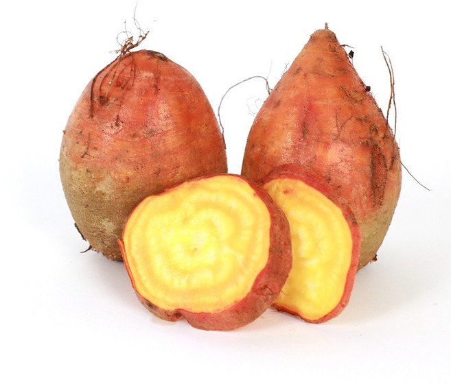 [프레베] 골드비트 3kg / 노란비트 / 노랑비트, 1박스