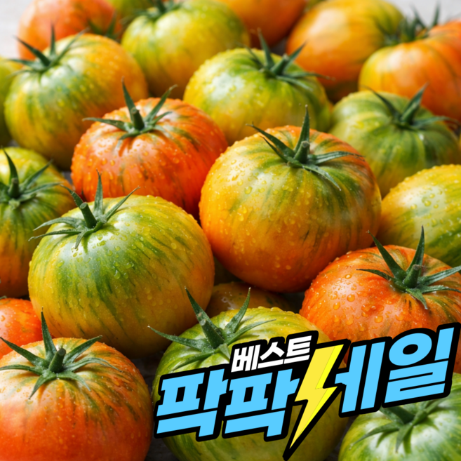 초신선 초특가 부산 대저토마토 짭짤이, 1박스, 5kg 대과