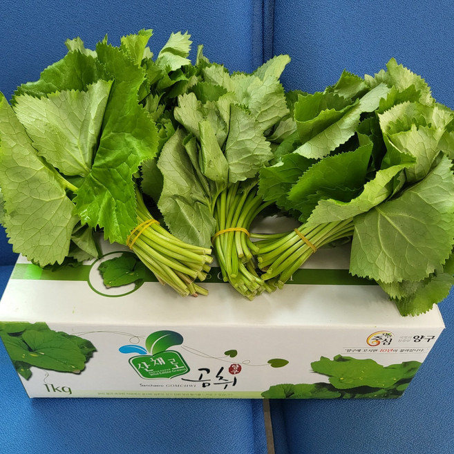 시나브로팜 양구곰취(곤달비)1kg 산지직송, 1kg, 1개