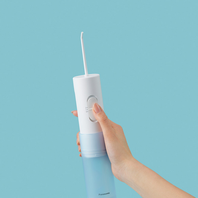 파나소닉 제트워셔 무선 휴대용 구강세정기 치간세정 생활방수 물치실 워터핏, 기본, 선택하세요