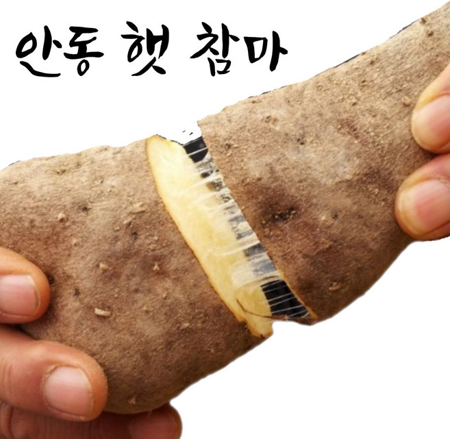 엄마네곳간 안동마 당일선별, 1박스, [산마] 못난이 1kg