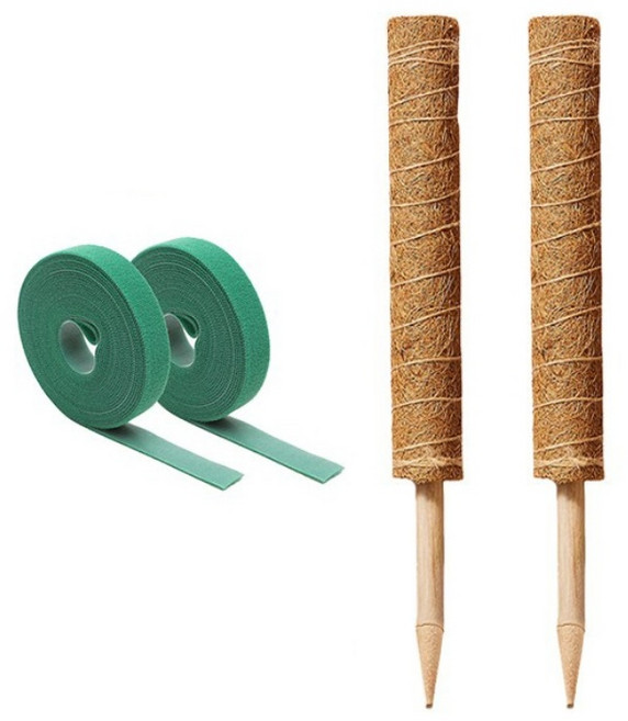 미화부장 식물지지대 수태봉2개+원예용벨크로2개, 1세트