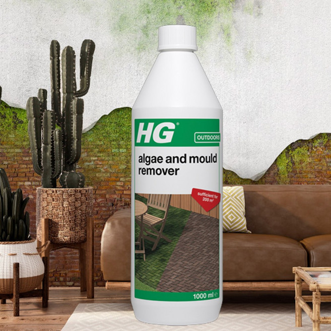 HG 이끼제거제 녹조제거제 1L 다용도 이끼 곰팡이 타일 벽돌 테라스 보도블럭 녹조 클리너, 1개