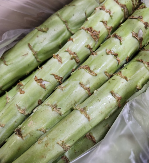 햇 국내산 생 궁채 1kg/2kg 국산궁채대 나물용궁채 장아찌용궁채 줄기상추 상추줄기궁채 상추줄기 상추대 생궁채나물 궁채나물줄기 뚱채나물 국내산궁채 생상추줄기나물 햇궁채, 1kg, 1개, 1kg