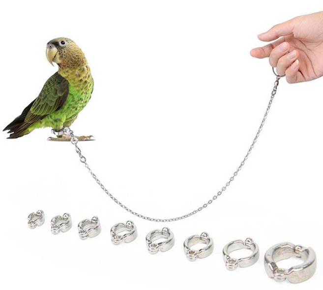 산책 야외활동 조류용품 핀타입 경량 앵무새 발목링 훈련용품 운동훈련용품, 15번