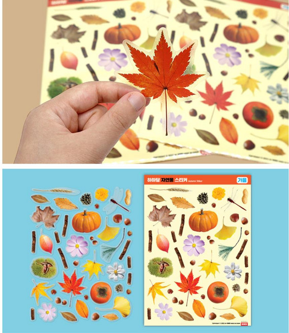 가을 계절 주제 과일 낙엽 만들기 꾸미기 투명 스티커 5개 명절선물 방과후미술 수업재료