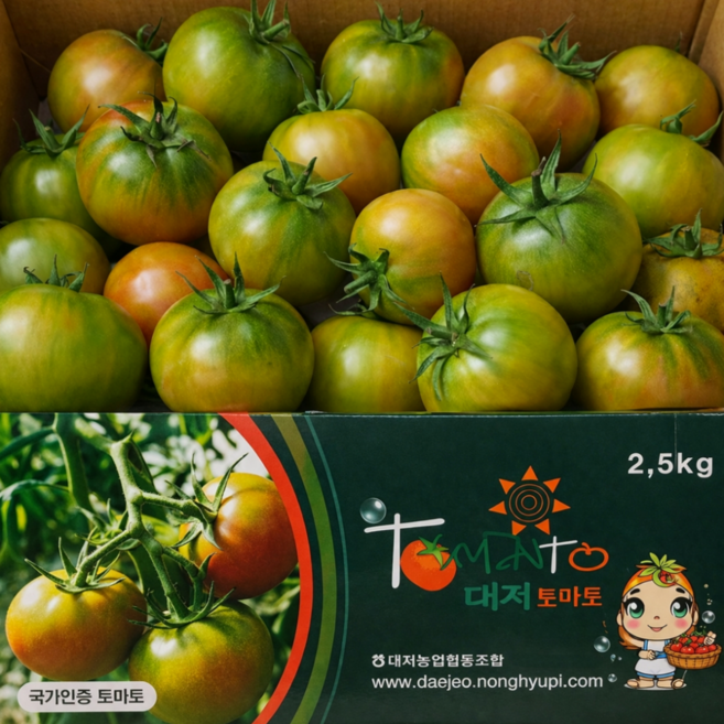 대저농협인증 대저토마토 부산 정품 고당도, 1박스, 2.5kg (L-2L)