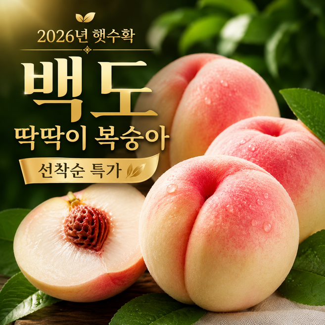 [100박스 파격특가] 산지직송 아삭달콤 딱딱이 복숭아, 1박스, 4kg