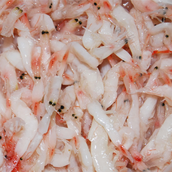 광천 현숙이네 국산100% 다용도 "특추젓" 토굴새우젓 500g~5kg, 1개, 1kg