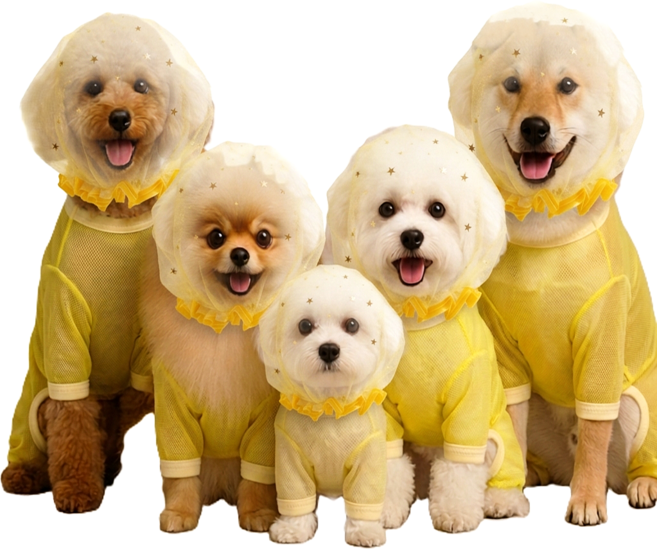 강아지옷 올인원 해충방지 망사 버그가드 입마개 옷, 1개, 옐로우