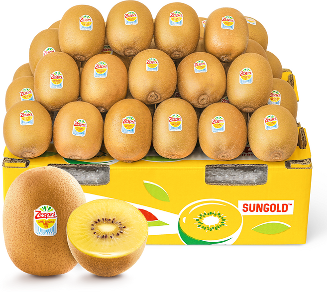 제스프리 썬골드키위 대용량, 1박스, 점보 36~37개입 5.8kg내외