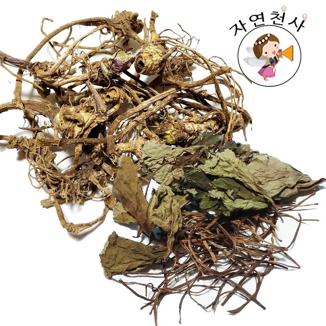 국산 자연산 야생 머위뿌리 직접채취 깨끗한 손질 자연산 머위뿌리 자연건조, 200g, 1개