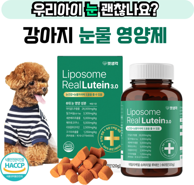 펫생각 강아지 눈 영양제 눈건강 눈물자국 백내장 녹내장 예방, 2개