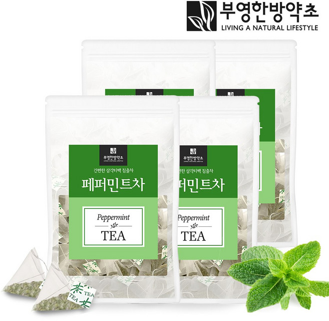부영한방약초 대용량 페퍼민트차 삼각 티백 100개 허브차, 1g, 100개입, 2개