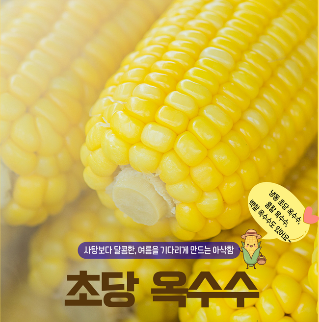 초당옥수수 홍찰옥수수 백찰옥수수 특대(14~16cm), 1개, 냉동 홍찰옥수수(14cm이상)10개