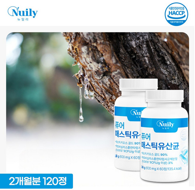 HACCP인증 그리스 키오스섬원료 키오스마스티하(매스틱) 락토바실러스 플란타럼 사균체 함유, 2개, 60정