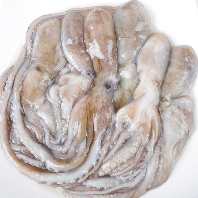 푸드마을 냉동 활낙지 850g 3미 4미 6미 8미, 850, 1개, 활낙지100/150(8미)