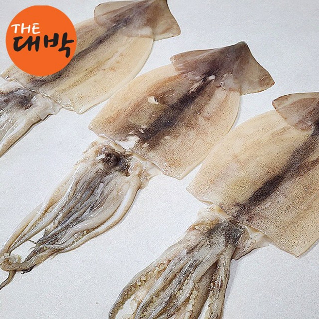 손질 대왕 오징어 선동 오징어, 2개, 손질 대왕 오징어 1kg