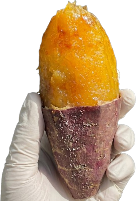 [팔톤상회] 개별포장한 아이스군고구마, 10개, 120g