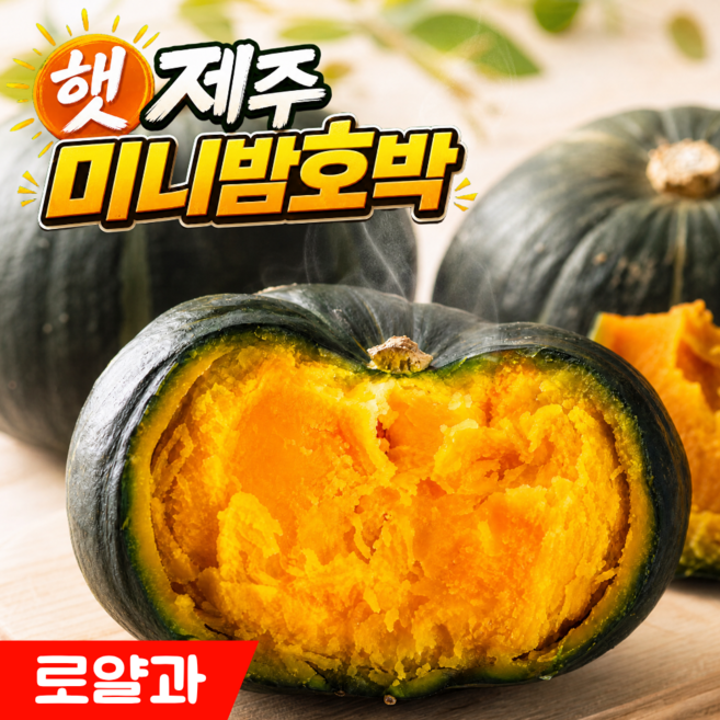 100박스한정 포슬포슬 제주 미니단호박 보우짱, 1박스, 로얄과 10kg