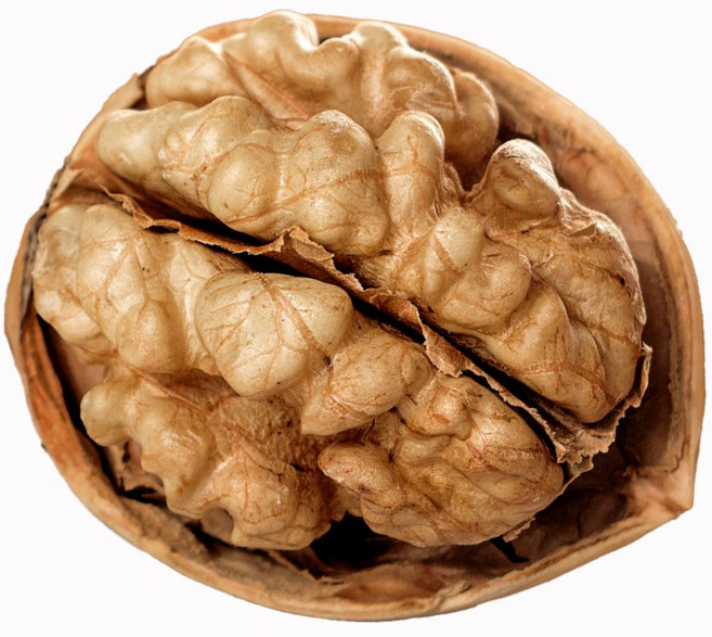 더옹달샘 얇은 껍질 국산 햇호두 500g 특품 피호두(상), 1개