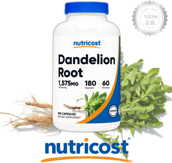 뉴트리코스트 민들레 뿌리 1575mg 180캡슐 (2개월분) 글루텐프리 NON-GMO Dandelion Root, 180정, 1개