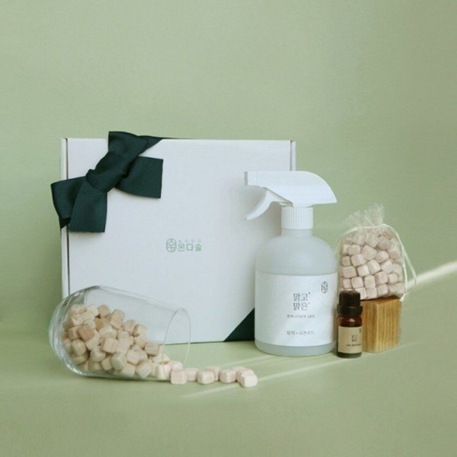 온다숲 천연 피톤치드 스프레이 선물B세트 잎편백수 냄새제거 새집증후군 공기 섬유탈취제 향수 드레스퍼퓸 방향제, 온다숲 천연 피톤치드 스프레이 선물B세트 잎편백수 냄새