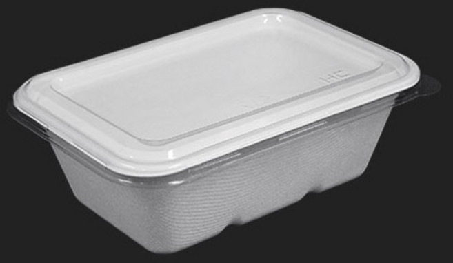 일회용 직사각 사탕수수 펄프용기 DBH-750 500개, PET리드 500개