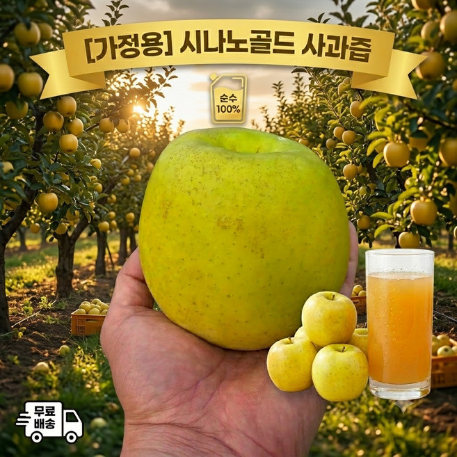 경북 시나노 골드 못난이 주스용 사과, 1박스, 10kg