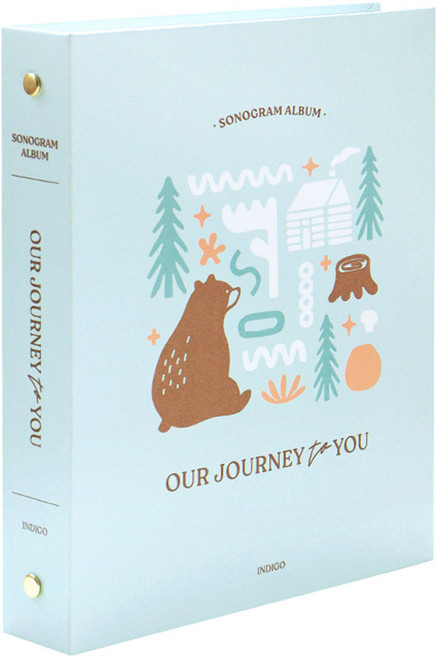 처음부모 초음파사진 포켓 앨범, 민트