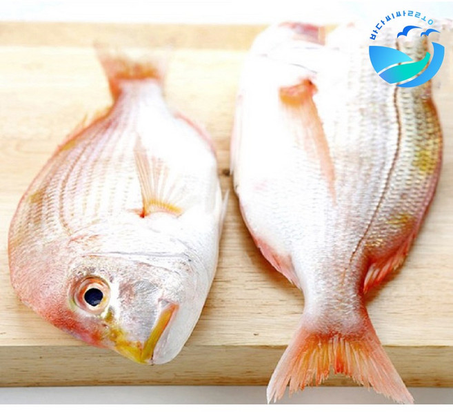 제주산 꽃돔(황돔) 손질 필렛 1kg(11미 내외/마리당 17-20cm), 1개