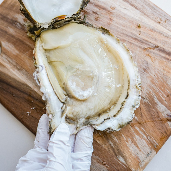 [당일조업] 산지직송 통영 생굴(깐굴), 1개, 바위굴 3kg