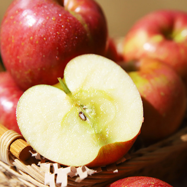 경북사과 청송 꿀부사 고랭지 햇사과 정품 3kg 5kg, 대과10kg(26~30과), 1개