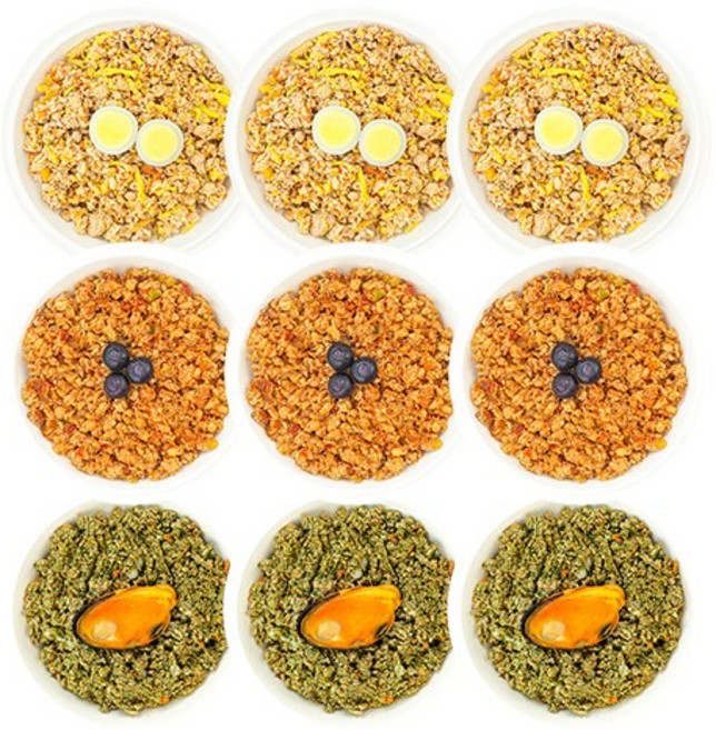 펫쉴드 강아지화식 자연식 수제사료 닭가슴살과 통 블루베리 화식, 100g, 9개, 혼합맛, 6/1순차출고) 3종 맛보기세트