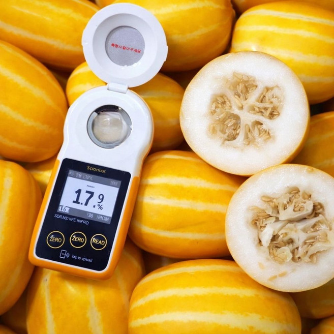 성주참외 로얄과 꿀이뚝뚝 가정용, 1박스, 5kg