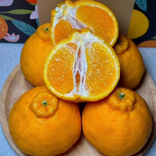 최대18브릭스 초고당도선별 제주 특품 한라봉, 1박스, 2kg