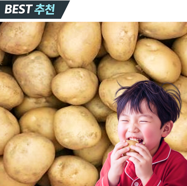 [품질보장] 2026년 수미 햇감자 국내산, 1박스, 중 2kg