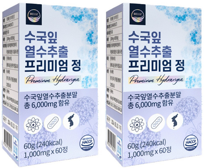 웰리즈 수국잎 열수추출 프리미엄 정 60g, 60정, 2개